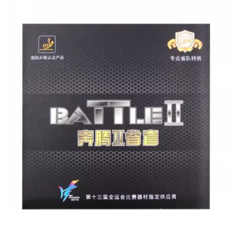 Table Tennis Player - 729 Friendship Battle 2 Foglio di