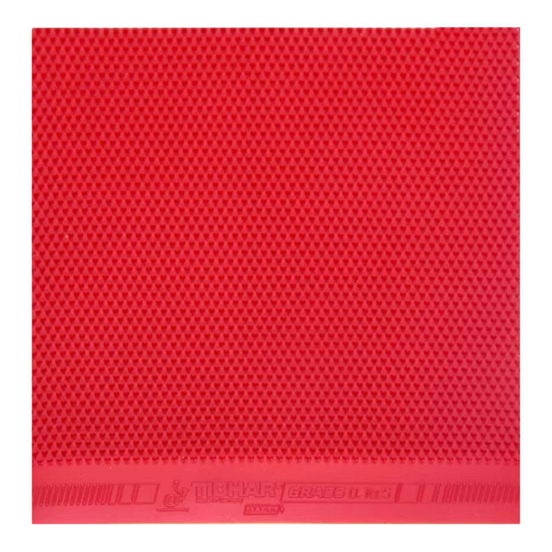 TIBHAR Grass D.TecS Gomma per  - Table Tennis Rubber Protective Film recensione e prezzo