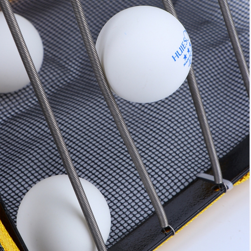 Raccoglitore di palline da pin - Table Tennis Player recensione e prezzo