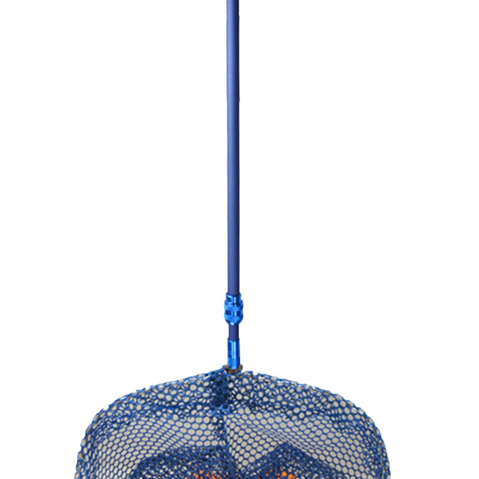 Raccoglitore di Palline da Pin - Table Tennis Court recensione e prezzo